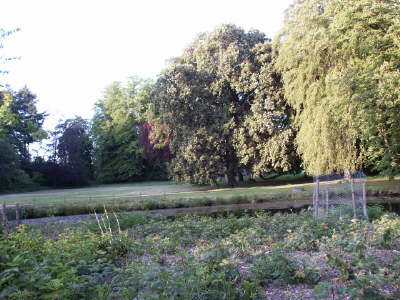 Parkanlage1