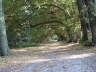 Landschaftspark1