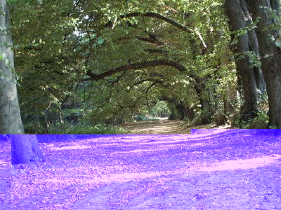Landschaftspark1