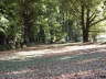 Landschaftspark2