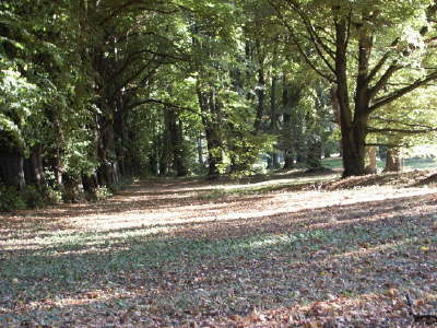 Landschaftspark2