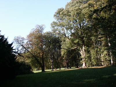 Landschaftspark3