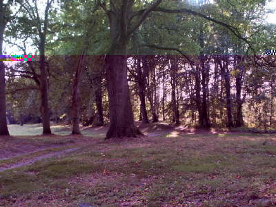 Landschaftspark9