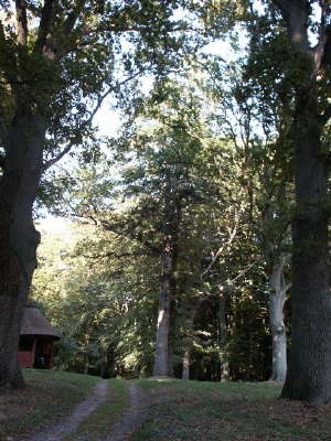 Landschaftspark10