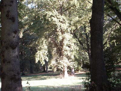 Landschaftspark 12